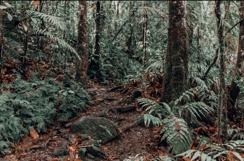How Inconsistent Leadership Creates Emotional Debt (And Costs You&nbsp;Growth)